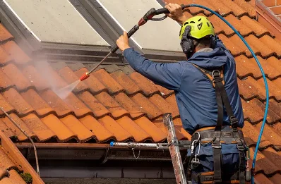 Démoussage et hydrofuge de toiture à Cuinzier